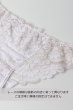 画像5: FLEUR white brief  | ノーマルショーツ・ブリーフ・ホワイト | Sawren サブレン【即日発送・サイズ交換NG】※メール便対象※輸入下着・高級ランジェリー  (5)